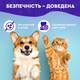 Спрей для полости рта животных с щеткой в комплекте Probioday® DentaBona для зубов от неприятного запаха котов и собак с пробиотиками пробиодей, 100 мл - изображение 6