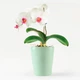 Горшок-кашпо для растений MBM HOME DH-FLOWERS-29 GREEN зеленый - изображение 1