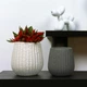 Горшок-кашпо для растений MBM HOME DH-FLOWERS-25 M WHITE белый - изображение 6