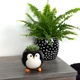 Горщик-кашпо для рослин MBM HOME DH-FLOWERS-27 BLACK чорний - зображення 4