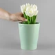 Горшок-кашпо для растений MBM HOME DH-FLOWERS-29 GREEN зеленый - изображение 9