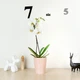 Горшок-кашпо для растений MBM HOME DH-FLOWERS-29 PINK розовый - изображение 3