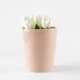 Горшок-кашпо для растений MBM HOME DH-FLOWERS-29 PINK розовый - изображение 5