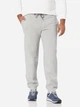 Спортивные штаны мужские утепленные Tommy Hilfiger 107838487 2XL Серые (1159848153) - изображение 1