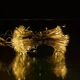 Гірлянда штора Роса хвойна лапа 600 LED 3х3 метри жовтий тепле світло світлодіодна штора гірлянда для дому вулиці новорічний святковий декор - зображення 3