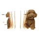 3D пазл Cartonic Maltipoo (CARTMALTIPOO) - изображение 3