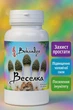 Гриб Веселка Bekandze (10:1) 400 мг — при зниженні потенції навантаженні на простату слабкому імунітеті та бажанні підтримати чоловіче здоров'я — концентрований екстракт для підтримки простати потенції та імунітету 60 капсул - зображення 1