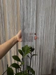 Шторы нитки Кисея с люрексом 290*290см Серый №7 - изображение 3