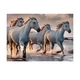 Пазлы Interdruk Wild Horses №4 "Кони на море" 48х67 см 1000 шт (384997) - изображение 2