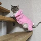 Костюм для котов (кошек) флисовый Зайка 2XL Розовый - изображение 10