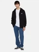 Bluza męska rozpinana streetwear z kapturem Dickies DK0A4YQABLK1 L Czarna - obraz 3