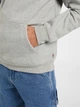 Bluza męska z kapturem kangurka Dickies DK0A4XCDHG01 L Szara - obraz 5