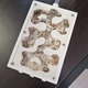 Муравьи Lasius Niger муравьи для муравьиной фермы колония муравьев с маткой живые муравьи для новачков - изображение 2