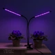Фитолампа для растений светодиодная LED на 2 ветки 10Вт, двойная настольная лампа для роста и цветения комнатных и тепличных растений с прищепкой-зажимом, таймером и питанием от USB, красный и синий свет Черная TF-770 - изображение 2