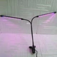 Фитолампа для растений светодиодная LED на 2 ветки 10Вт, двойная настольная лампа для роста и цветения комнатных и тепличных растений с прищепкой-зажимом, таймером и питанием от USB, красный и синий свет Черная TF-770 - изображение 7