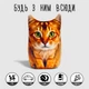 Мягкая игрушка антистресс Абиссинский кот WONKEY 20см 33112 - изображение 8