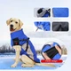 Водонепроницаемая куртка для собак Wan Talk Designer Winter Blue Dog Jacket, L - изображение 2