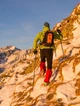 Кошки NORTEC Nordic Acid Green M - изображение 5