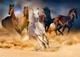 Пазл Коні, що біжать пустелею - Horses Running in the Desert (Enjoy-1356) - зображення 3