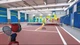 Instant Sports Tennis Bundle (Switch) - изображение 4