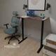 Стіл Mealux PowerDesk Lite Walnut з електрорегулюванням висоти (арт. EVO-201 Lite Walnut /B) - изображение 2