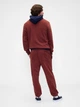 Спортивный костюм мужской утепленный GAP 504151172 2XL Коричневый (1159848177) - изображение 2