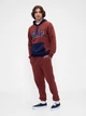 Спортивный костюм мужской утепленный GAP 504151172 2XL Коричневый (1159848177) - изображение 3