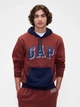 Спортивный костюм мужской утепленный GAP 504151172 2XL Коричневый (1159848177) - изображение 4
