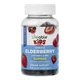 Sambucus Elderberry + Vitamin C and Zinc Kids Sugar Free - 60 gummies бузина з вітаміном C і цинком для дітей без цукру для імунітету, горла та сезонного захисту - зображення 1