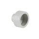 Муфта PPR Thermo Alliance 50х25 - зображення 1