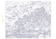 Картина по номерам 40×50 см Kontur. Яркая осень. DS0515 - изображение 2