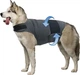 Успокаивающий жилет для собак WanTalk Dog Anxiety Jacket, Dark Grey, 2XL - изображение 1