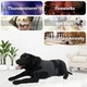 Успокаивающий жилет для собак WanTalk Dog Anxiety Jacket, Dark Grey, 2XL - изображение 6