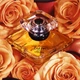 Тестер Парфумована вода для жінок Lancome Tresor 100 мл - зображення 5