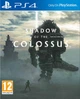 Гра Shadow of the Colossus PS4 (російські субтитри) - зображення 1
