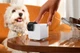 IP-камера для видеонаблюдения Petcube Cam 360 (P36010US) [109823] - изображение 6