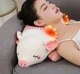 Массажная подушка Piggy WJH-11 Свинка (роликовый массажер, прогрев, таймер) HDSYR_2799 - изображение 6