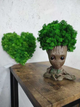 Кашпо с мхом Грут Groot G2 фигурное для декора дома и офиса оригинальный горшок для растений (LIV-S_11C) - изображение 6