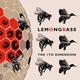 Компакт диск Rok Music Lemongrass The 5th Dimension CD - изображение 1