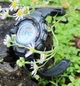 Чоловічі наручні годинники Casio PRG-270-1ER - изображение 2