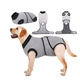 Восстановительная попона для собак Wan Talk Recovery Suit, Black/Grey, 6XL - изображение 1