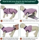 Восстановительная попона для собак Wan Talk Recovery Suit, Violet Stripe, L - изображение 5