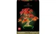 Конструктор Lego Botanicals Бонсай из японского красного клена, 474 деталей 10348 - изображение 1