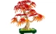 Конструктор Lego Botanicals Бонсай из японского красного клена, 474 деталей 10348 - изображение 8