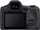 Беззеркальный фотоаппарат Canon EOS R5 + RF 24-105 f/4.0 L IS (4147C069) - изображение 3