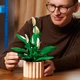Конструктор LEGO Botanicals Спатифиллум 474 детали (11504) - изображение 3