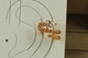 Серьги каффы Xuping Jewelry Змея на ушной хрящ 1,5 см золотистые - изображение 2