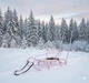 Санки детские Vitan Экспресс со спинкой и ручкой Розовые (2130043) - изображение 4
