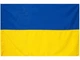 Прапор України 140х90 см державний національний патріотичний синьо-жовтий жовто-блакитний вуличний на стіну будинок та флагшток до Дня Незалежності габардиновий яскравий з кільцями під флагшток Kayfovo - зображення 1