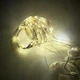 Гирлянда-штора LED светодиодная с крючками и пультом 2,9x2 м, новогодняя декоративная гирлянда с 8 режимами и USB питанием для дома, окон и праздничного оформления, теплый желтый свет, WL-16 - изображение 6